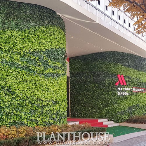이미지 상세보기