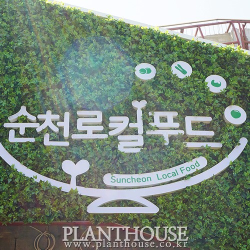 이미지 상세보기