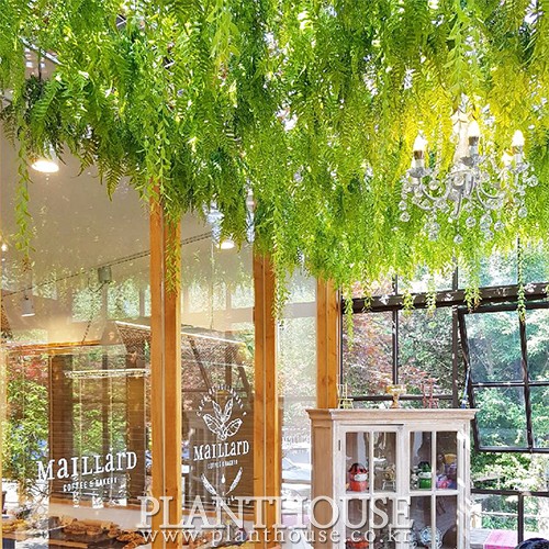 이미지 상세보기