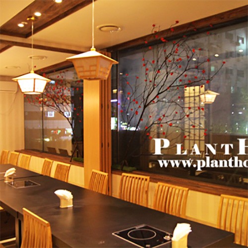 이미지 상세보기
