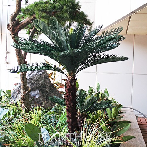 이미지 상세보기