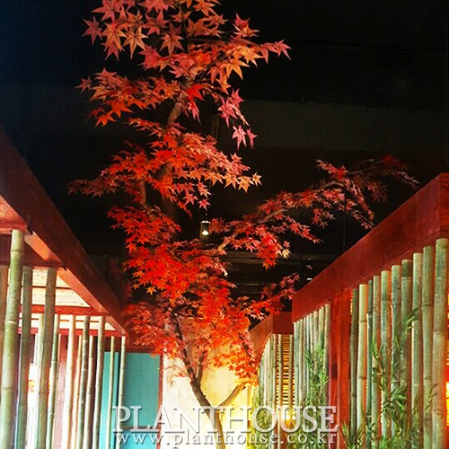 이미지 상세보기