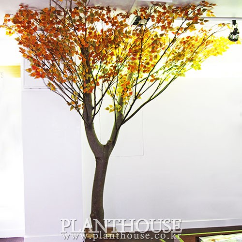 이미지 상세보기