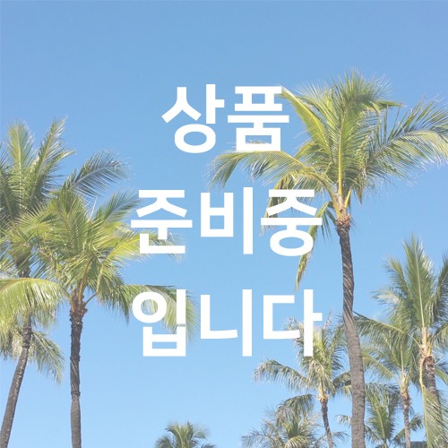 이미지 상세보기