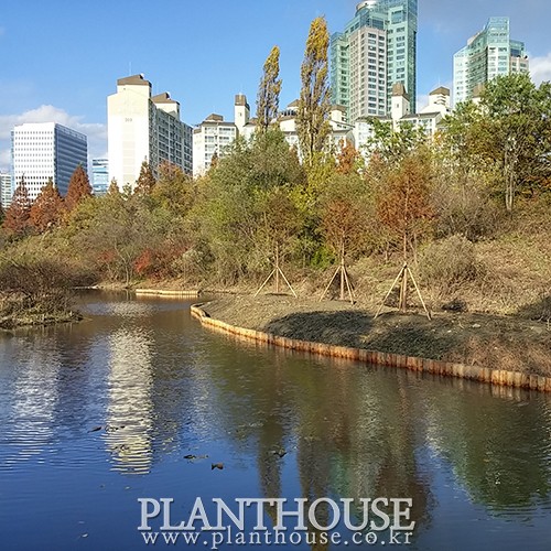 이미지 상세보기