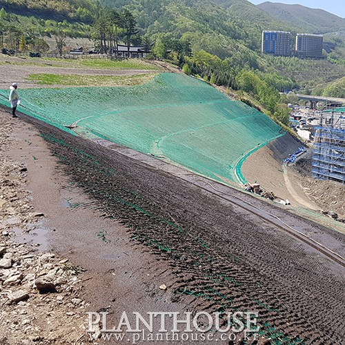 이미지 상세보기