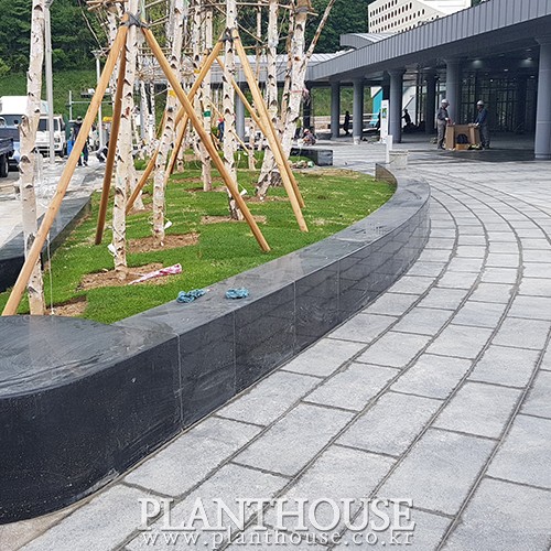 이미지 상세보기