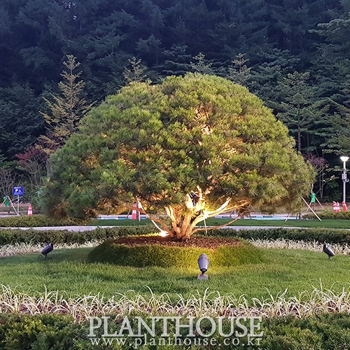 이미지 상세보기