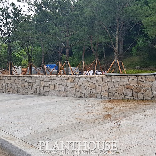 이미지 상세보기