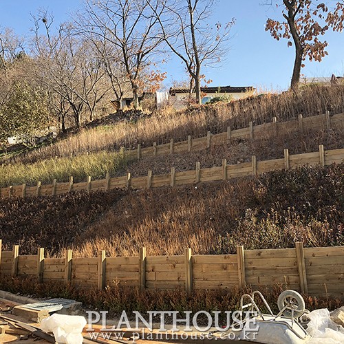이미지 상세보기