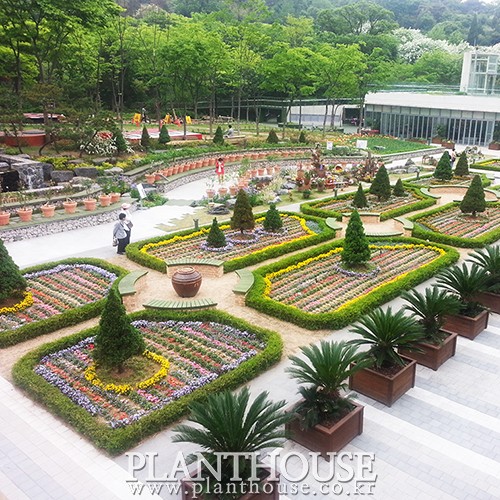 이미지 상세보기
