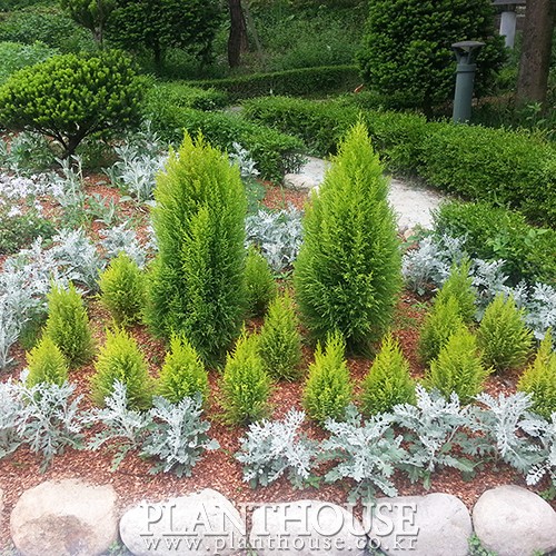 이미지 상세보기