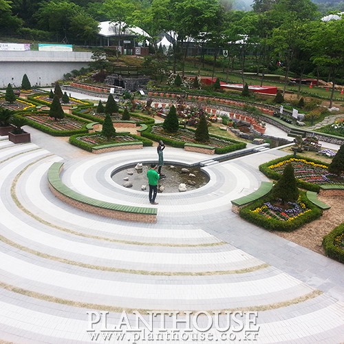 이미지 상세보기