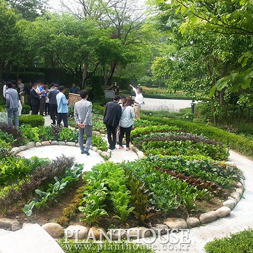 이미지 상세보기