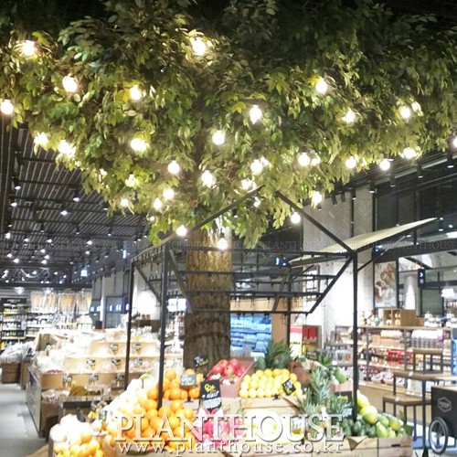 이미지 상세보기