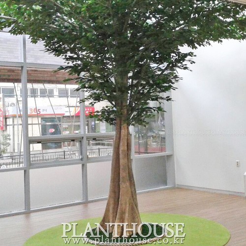 이미지 상세보기