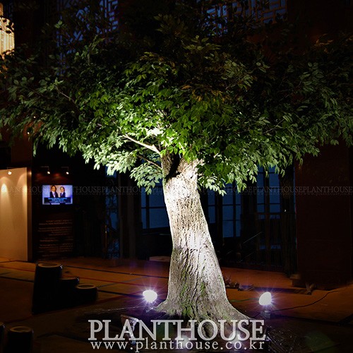 이미지 상세보기