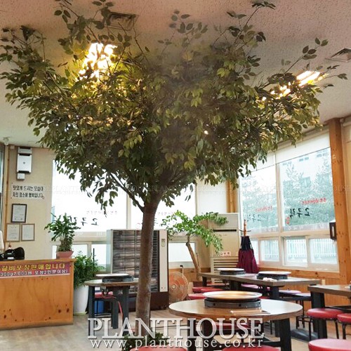 이미지 상세보기