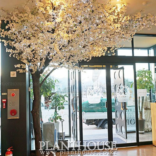 이미지 상세보기