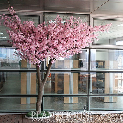 이미지 상세보기