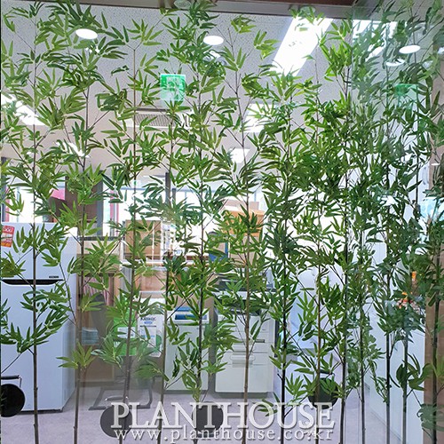 이미지 상세보기