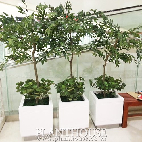 이미지 상세보기